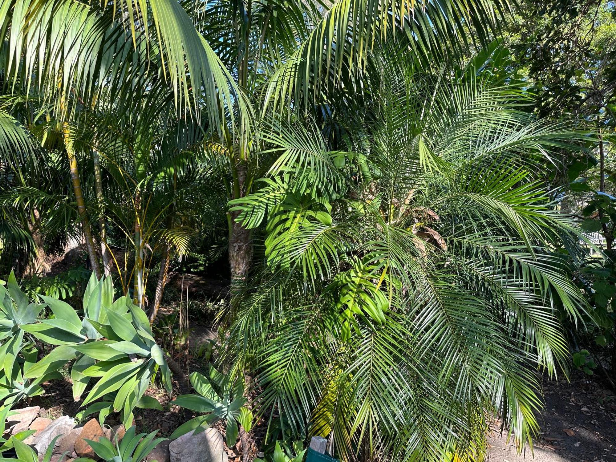 Palm Beach Bed & Breakfast Zewnętrze zdjęcie